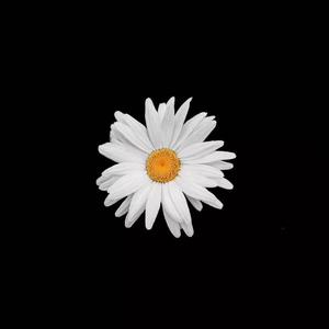 蒂蒂有话电影免费播放
