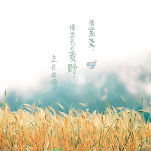 蒂蒂有话电影免费播放
